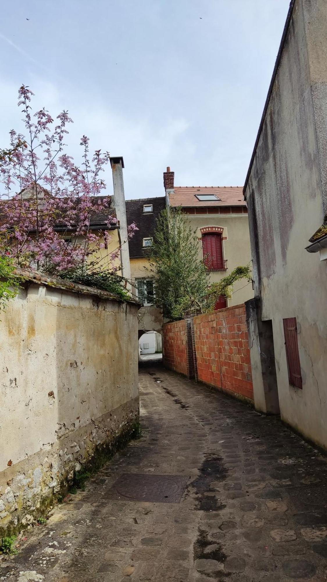 Romantic Room - Studio Jardin - Proche Disneyland Paris Crecy-la-Chapelle Exterior foto